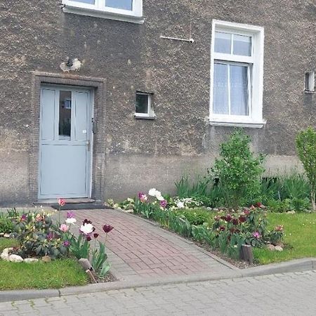 Apartament W Centrum Ниса Екстер'єр фото