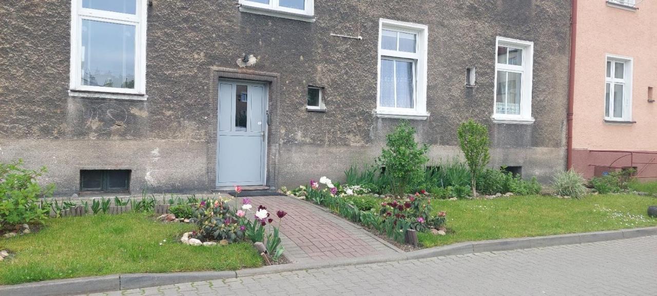 Apartament W Centrum Ниса Екстер'єр фото